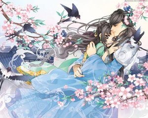 深入了解 十大禁用黄色软装排行